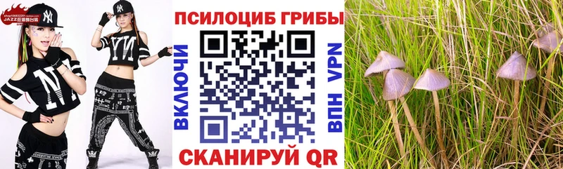 Псилоцибиновые грибы Psilocybe Перевоз